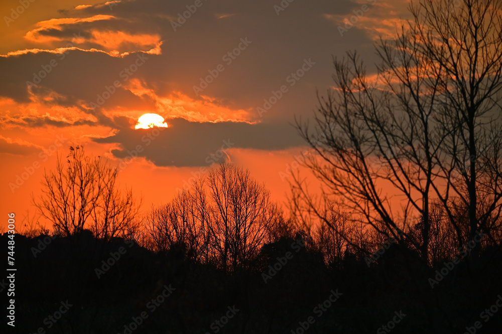 真っ赤に染まる夕陽と木々のシルエット 真っ赤に染まる夕陽と木々のシルエット