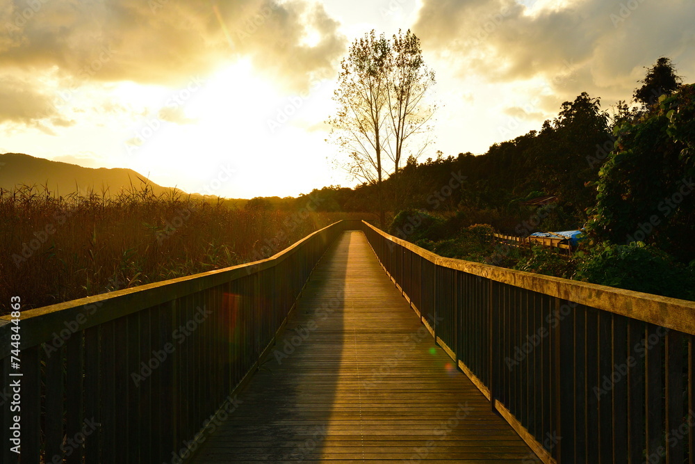 Fototapeta premium 夕日