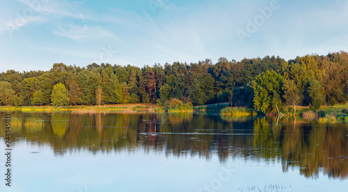 Evening summer lake landscape with plants reflections on water surface (near Shklo settlement, Lviv Oblast, Ukraine). Two shots stitch high-resolution panorama.       photo