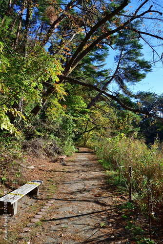 紅葉のじゅんさい池公園（新潟県） photo