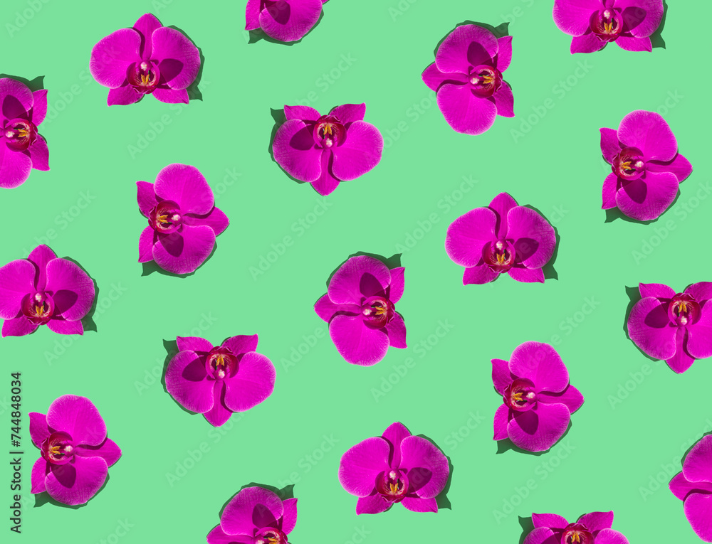 Trendy flower pattern made with purple orchid flowers on green background. Minimal flower pattern layout. Nature spring or summer background concept. Flat lay. Trendy flower pattern made with purple orchid flowers on green background. Minimal flower pattern layout. Nature spring or summer background concept. Flat lay.
