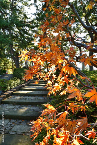 白山神社の紅葉（新潟県）