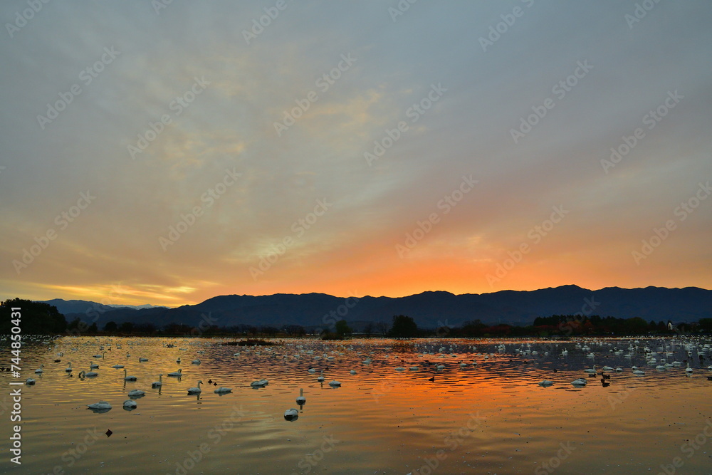 瓢湖と朝焼け（新潟県）
