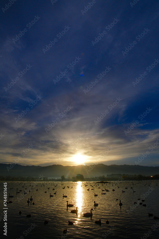 朝の瓢湖（新潟県）