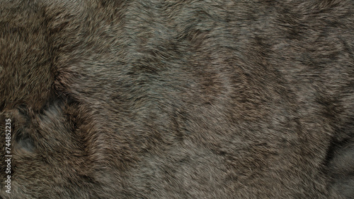 Animal and wildlife macro fur textures