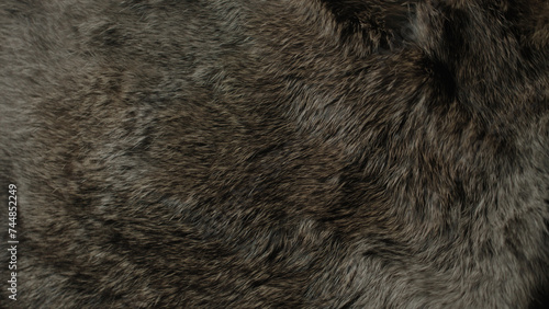 Фотография Animal and wildlife macro fur textures