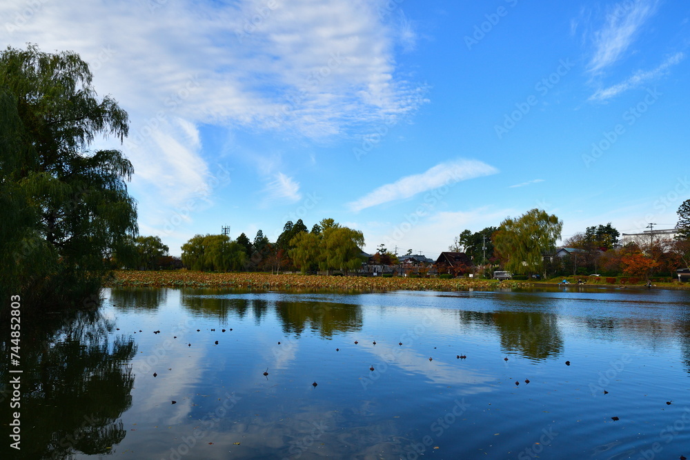 Fototapeta premium 北山池公園と紅葉（新潟県）