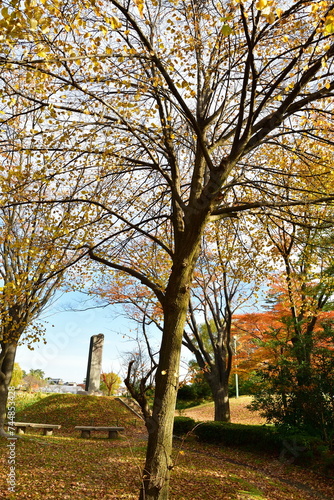 北山池公園と紅葉（新潟県）