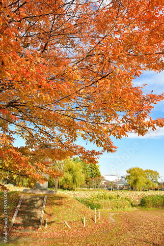 北山池公園と紅葉（新潟県）