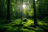 Landscape of green forest with dense trees