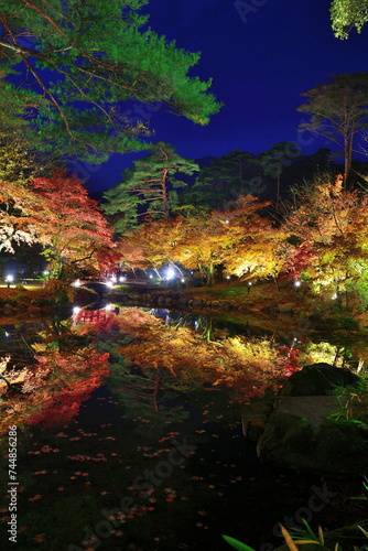 弥彦もみじ谷の紅葉ライトアップ（新潟県） © UI_forever