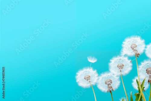 Dandelion seeds against a clear blue sky  symbolizing change and resilience.