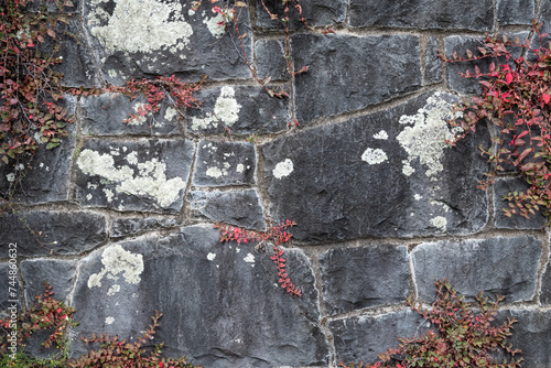 Character background pattern of an old rock wall with big old stones covered in moss