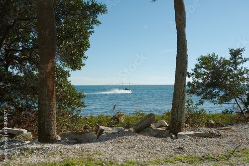 View from Bay Vista Park framed between two palm trees towards Tampa Bay with a small speed boat man rider and Sunshine Skyway Bridge in the middle of the background. Blue sky with room for copy.