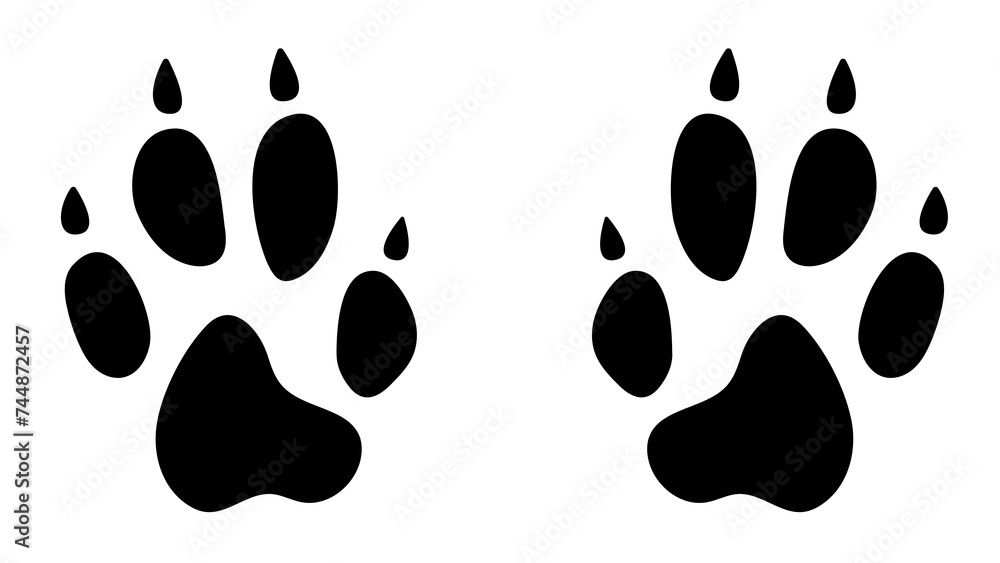 Black and White Animals Black and White Animals