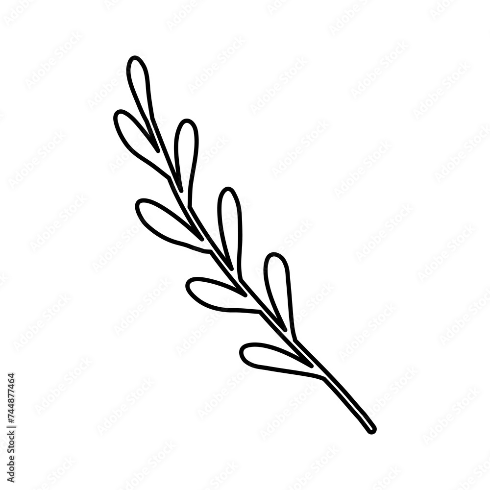 Sprig or branch with leaves, ecology or natural element, doodle vector outline