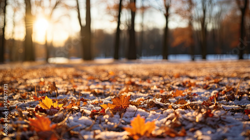 The soft, plush texture of freshly fallen snow, with each flake shimmering in the sunlight like t