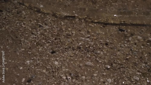 Close up Slow motion shot with light brown beach sand and clear water . Sunny day  with seashells and small leafs in water. Waves are smooth and small a great background. 