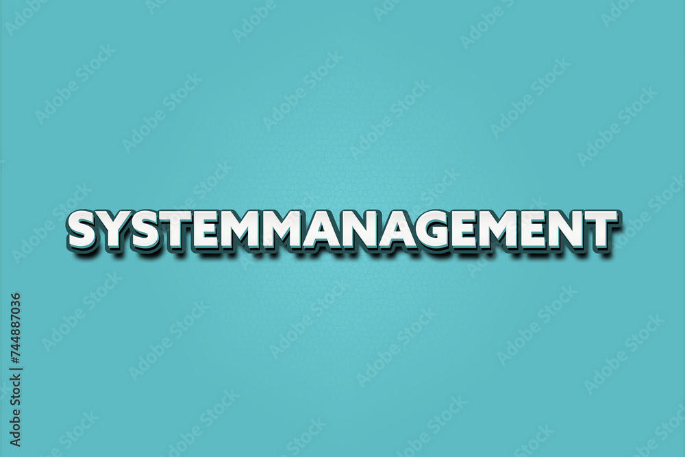 Systemmanagement. Eine schwarze Tafel mit weissem Text. Illustration mit Grunge Textstil. Systemmanagement. Eine schwarze Tafel mit weissem Text. Illustration mit Grunge Textstil.