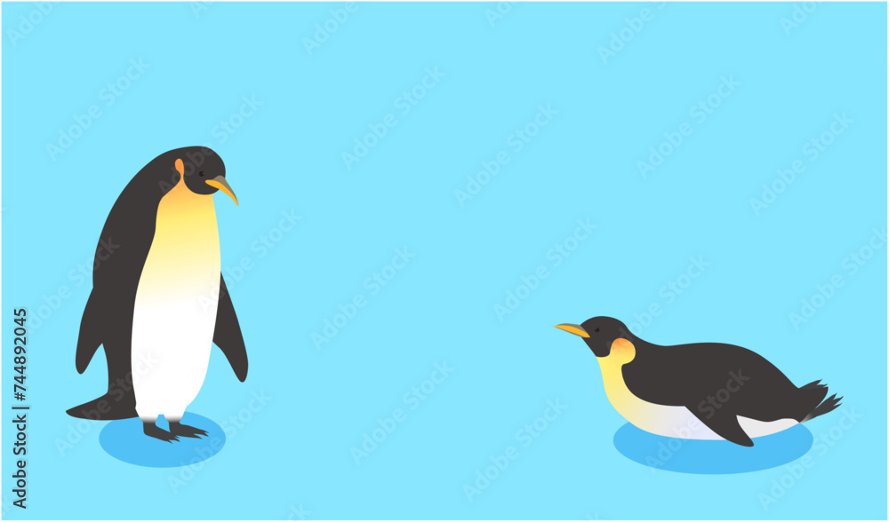 Fototapeta premium 見つめあうペンギン