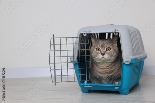 Travel with pet. Cute cat in carrier on floor near white wall indoors, space for text