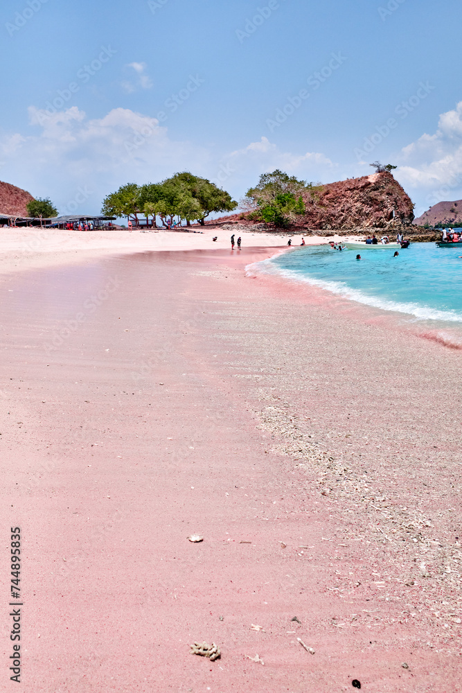 Komodo - Pink Beach