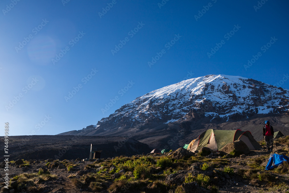 Morning Light on Kilimanjaro: A View from Karanga Camp