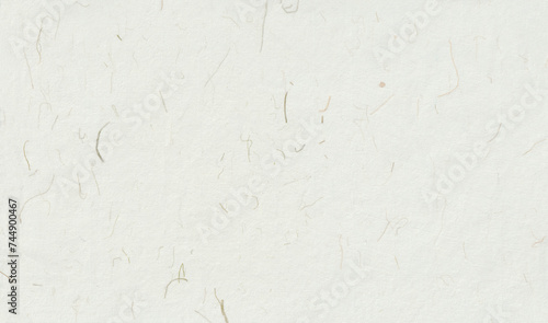 Hand made antique blank sheet paper texture with green plant fibers