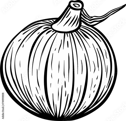 Tropical Temptations Indulging in the Allure of Coconut Fruits