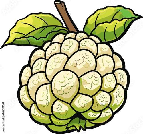 Exploring the Rich Heritage and Cultural Significance of Custard Apples A Historical Journey
