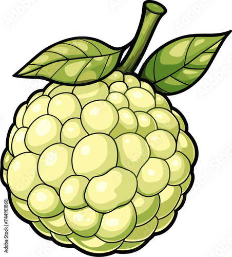 Custard Apple Role in Traditional Medicine Healing Properties and Therapeutic Uses