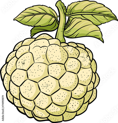 Custard Apple Marketing Strategies Promoting a Unique Fruit in Global Markets