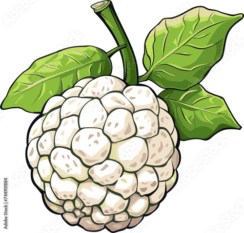 Custard Apple Contribution to Sustainable Agriculture Agroecological Perspectives