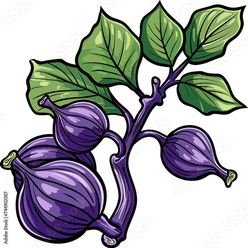 Fig Reverie Dreamy Delights from Orchard to Plate