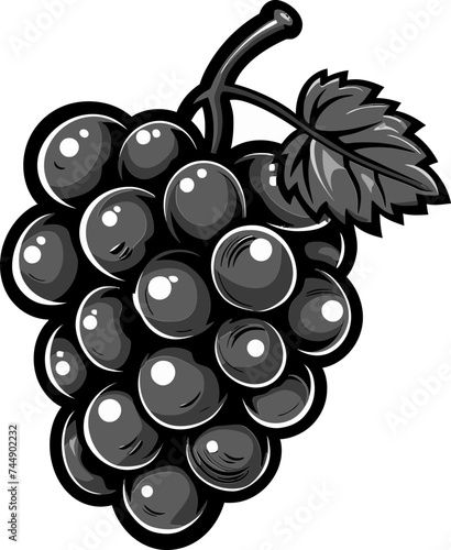 Investigating the Influence of Terroir on Grapevine Gene Expression and Wine Flavor Complexity