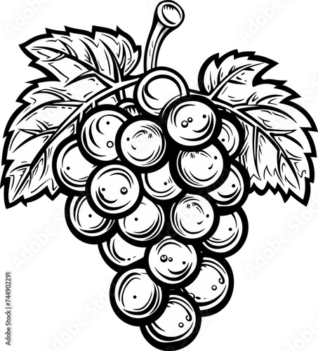 Assessing the Influence of Soil Microbial Communities on Grapevine Health and Wine Terroir