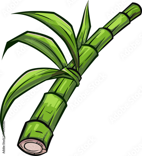 The Sweet Essence of Sugarcane Fruit A Gastronomic Exploration