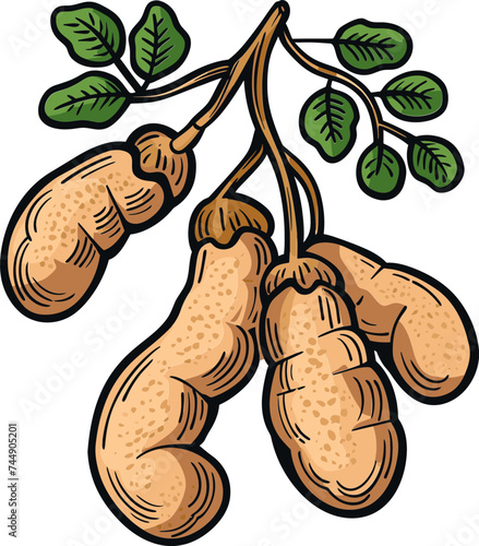 Tamarind Temptations Savoring the Sweet and Sour Sensation