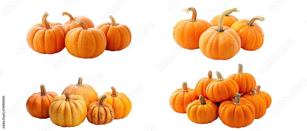 Pumpkins isolated on transparent background Pumpkins isolated on transparent background