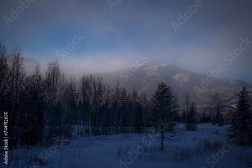 Mountain view in Revelstoke, BC © Ramona