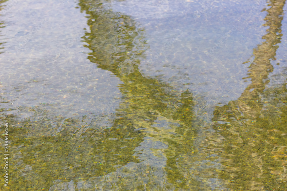 Fototapeta premium Water surface with reflection of trees in the lake. Abstract background.