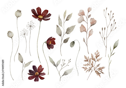 Beautiful Watercolor Pressed Flower Collection