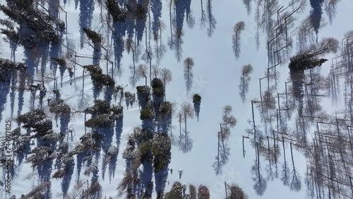 Wallpaper Mural Aerial build mountain forest winter snow shelter Utah slide. Snow and ice cold weather arctic shelter. White cold winter snow and freezing temperature. Recreation exploring dangerous adventure. Torontodigital.ca