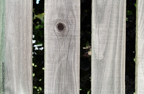 Close up abstract of vertical wooden planks in a fence © Tammy Walker