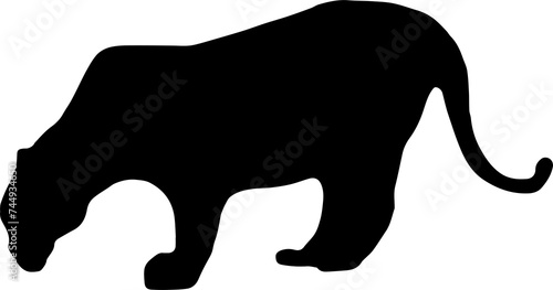 tiger silhouette in vector png. Can be used as a stencil or template for festive decorations, postcards, shop windows, logos, etc, transparent.