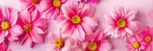 Background of pink flowers with empty space for te