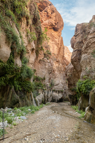 High mountain slopes overgrown with green plants on the both sides of the shallow stream in the gorge Wadi Al Ghuwayr or An Nakhil and the wadi Al Dathneh near Amman in Jordan