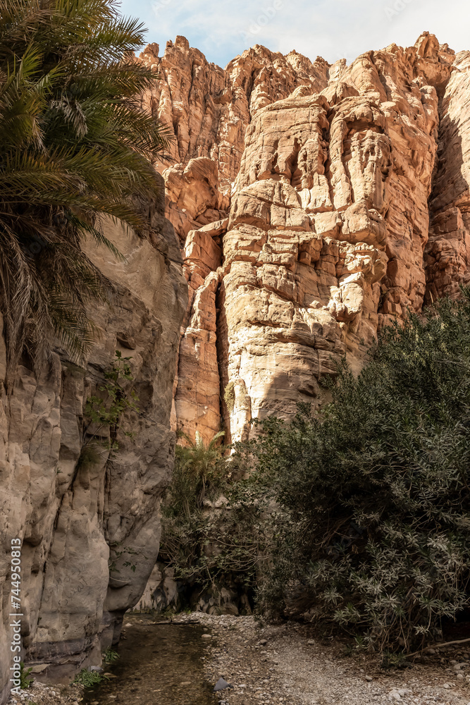 Extensive greenery and palms grows on mountainsides on both sides of shallow stream in gorge Wadi Al Ghuwayr or An Nakhil and wadi Al Dathneh near Amman in Jordan