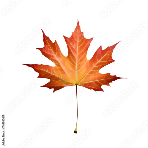 Red maple leaf over isolated background