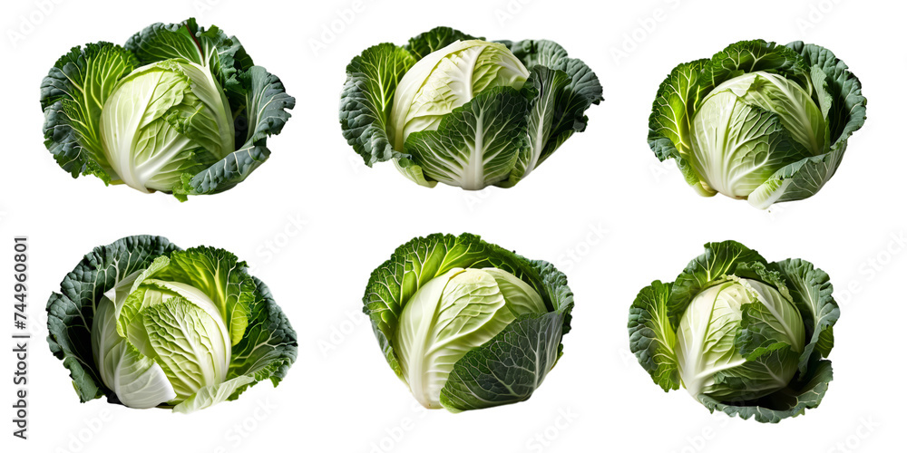 Collection of green cabbage isolated on a white background as transparent PNG Collection of green cabbage isolated on a white background as transparent PNG